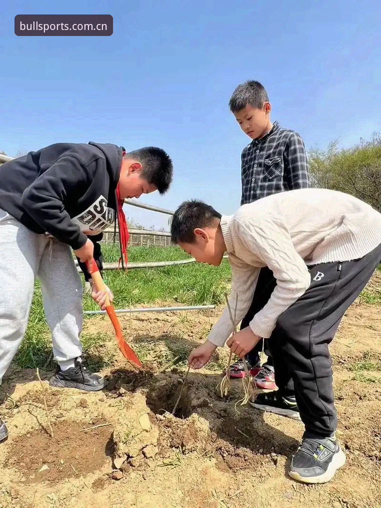 资深用户分享：牛宝体育运动的实战体验与使用心得